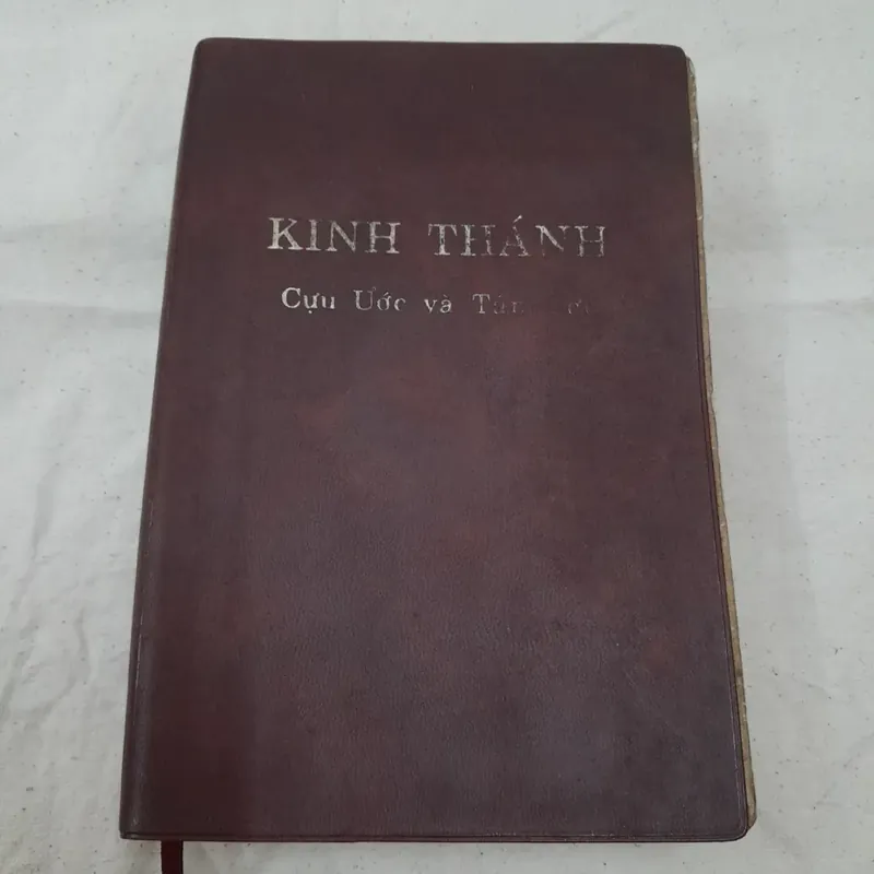 KINH THÁNH CỰU ƯỚC VÀ TÂN ƯỚC. Bản dịch mới Arms of Hope 2002 600297