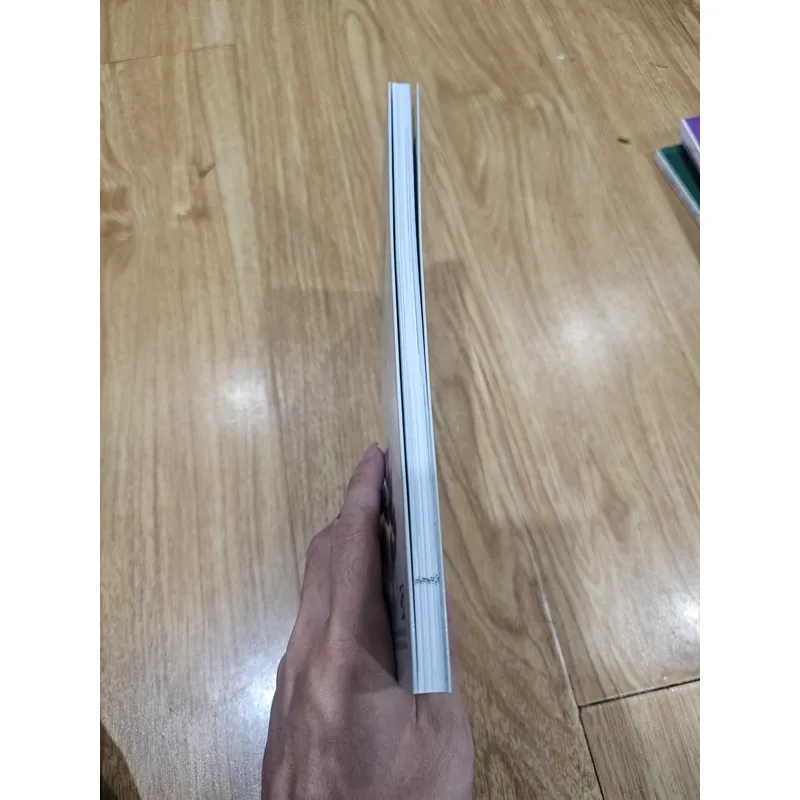 Vườn cảnh Trung Quốc 
 690583