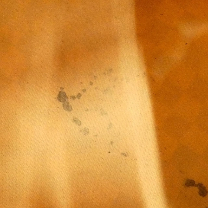 Túi xách Boston Louis Vuitton Damier Azur Speedy 30cm N41533 - Hàng hiệu Chính hãng 770452