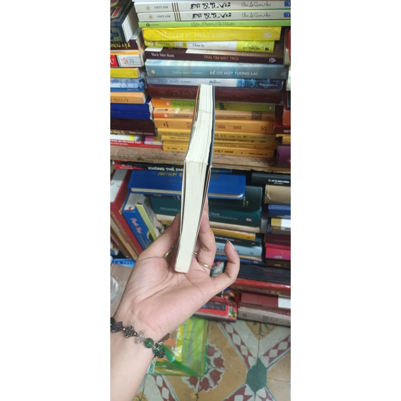 Tà Dương- Dazai Osamu 531063
