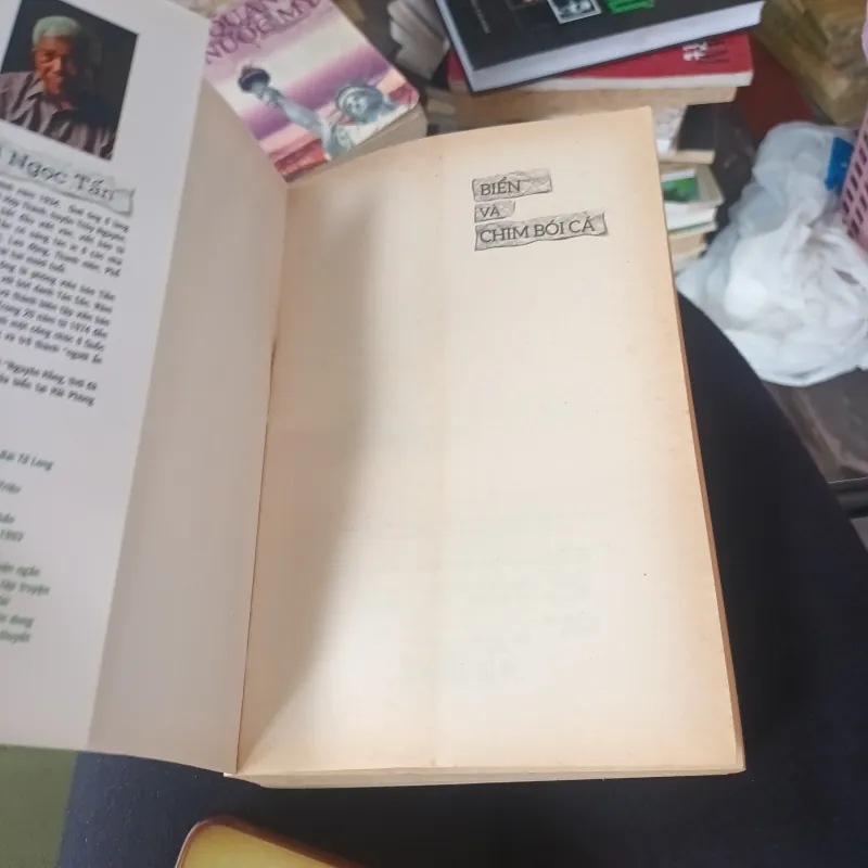 Biển Và Chim Bói Cá - Bùi Ngọc Tấn 1001021