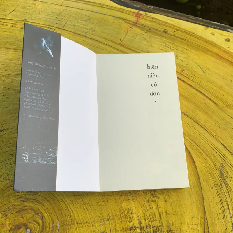 BIÊN NIÊN CÔ ĐƠN - NGUYỄN NGỌC THẠCH  746795