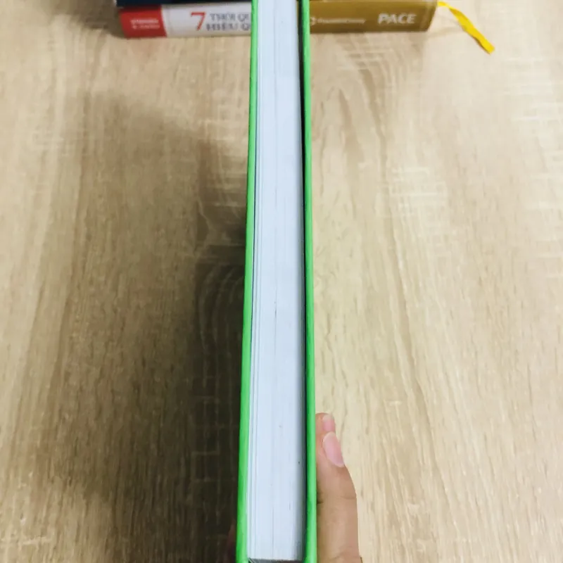 TỪ NÔNG THÔN ĐẾN TRIỆU ĐÔ 1004363