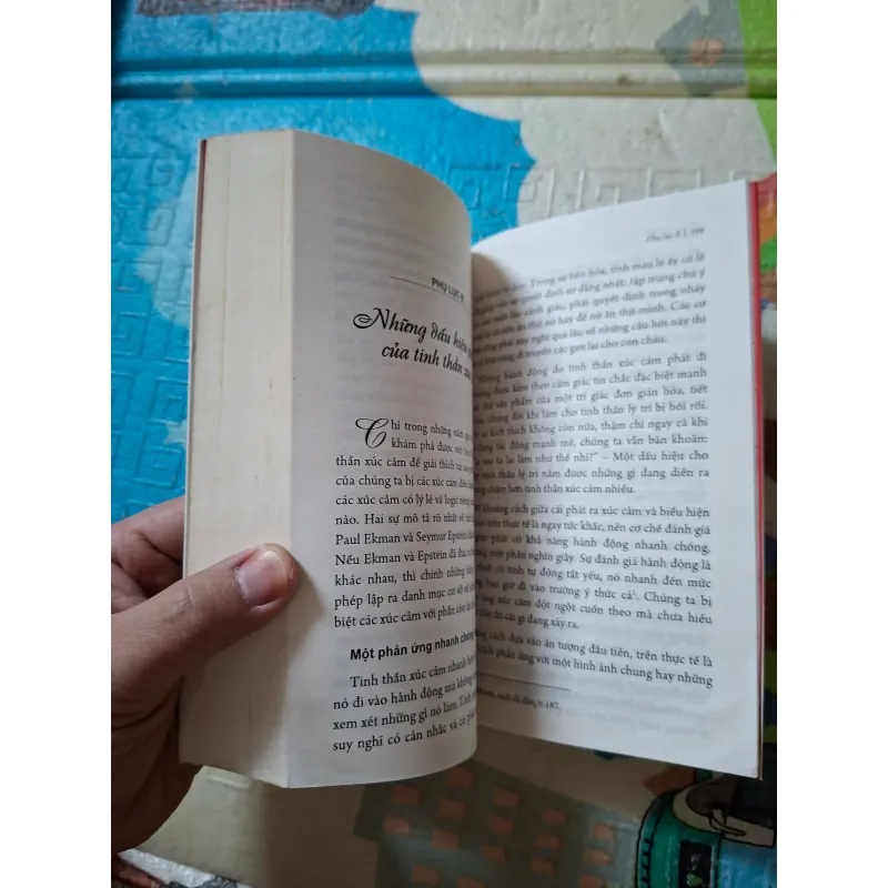 Trí Tuệ Xúc Cảm 936243