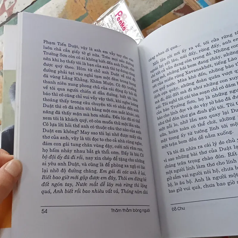 Tùy bút thăm thẳm bóng người - Đỗ Chu  782659