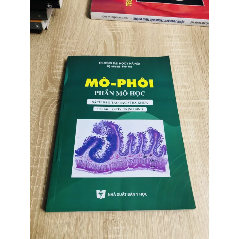 MÔ - PHỔI PHẦN MÔ  1013038