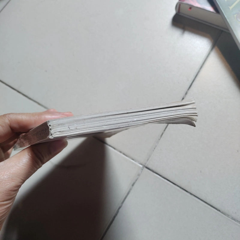 Tiểu thuyết gập ghềnh của Hoàng Ngọc Hà 471963