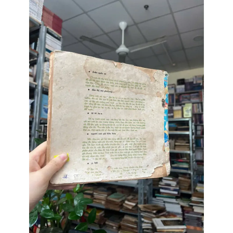 MÙA XUÂN BẢNG ĐEN VÀ PHẤN TRẮNG 561927