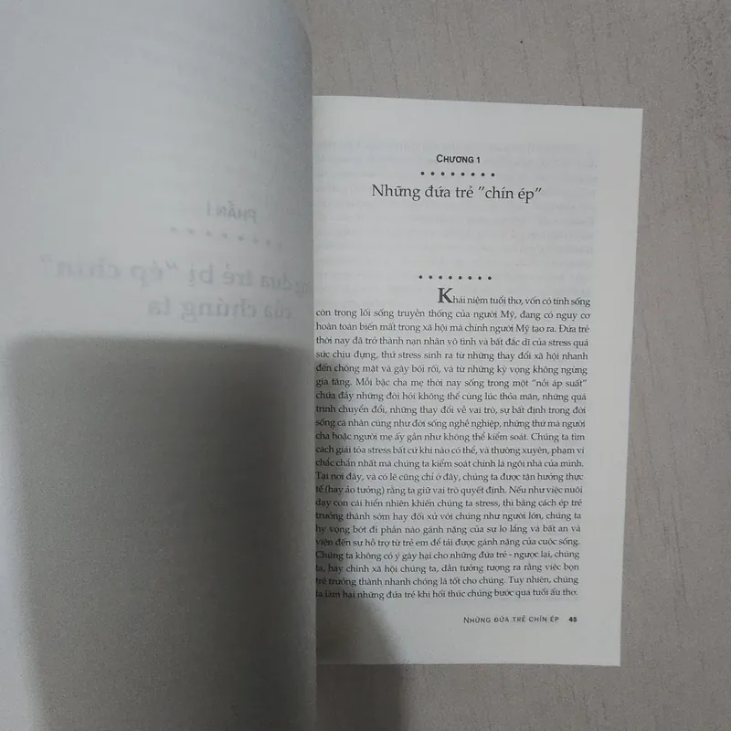Sách Những đứa trẻ chín ép mới 90% 714689
