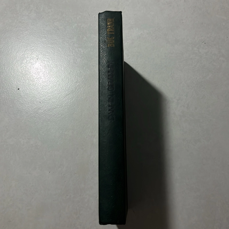 Bức Tranh — Đanhiin Granhin — 1986s 495407