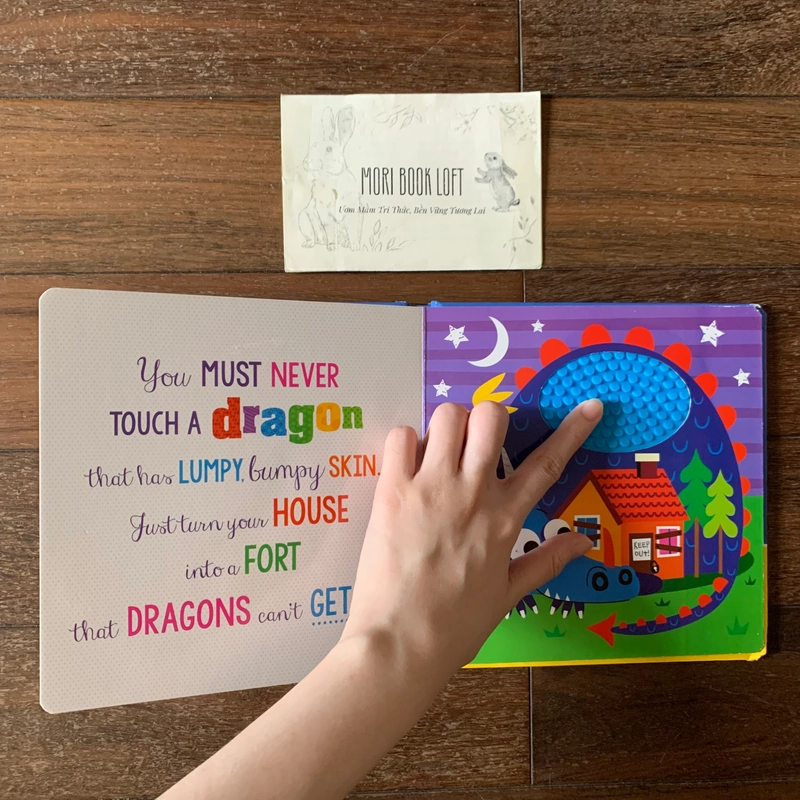 Sách ngoại văn Never Touch a Dragon – Sách sờ chạm, Used 542236