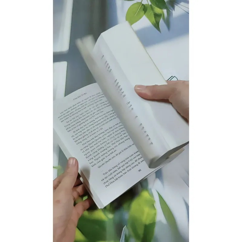 Giường Đơn Hay Giường Đôi - Cầm Sắt Tỳ Bà 744730