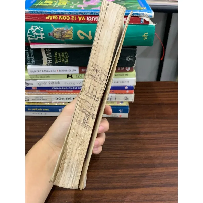 Những cuộc phiêu lưu của Tom Sawyer (The Adventures of Tom Sawyer) — Mark Twain 577629