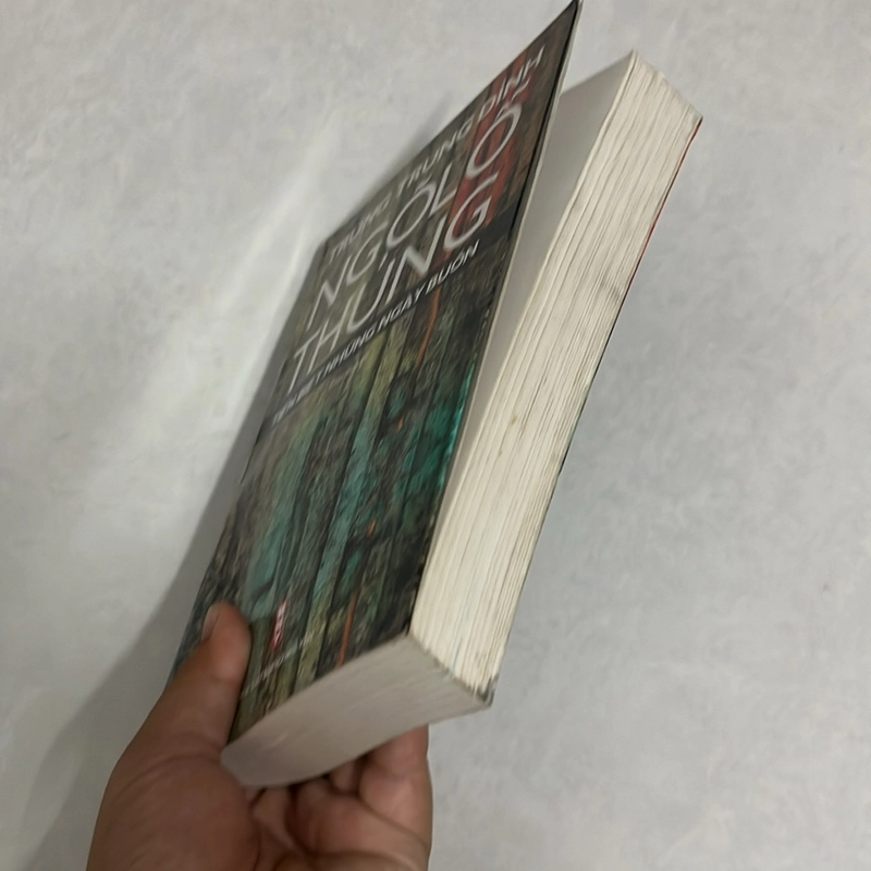 Ngõ Lỗ Thủng tiễn biệt những ngày buồn — Trung Trung Đỉnh 501172