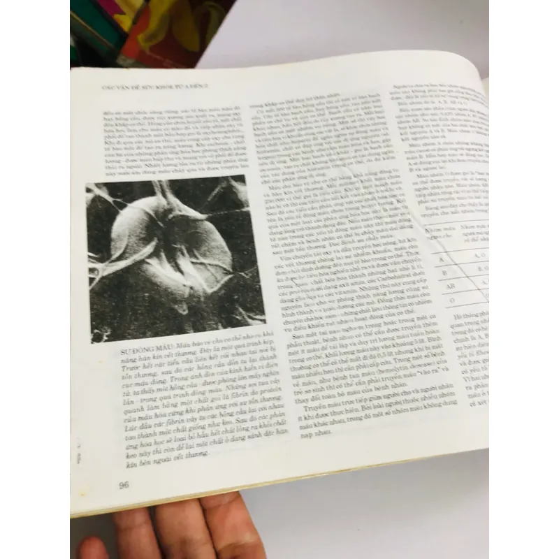 📖 CẨM NANG SỨC KHOẺ GIA ĐÌNH 553537