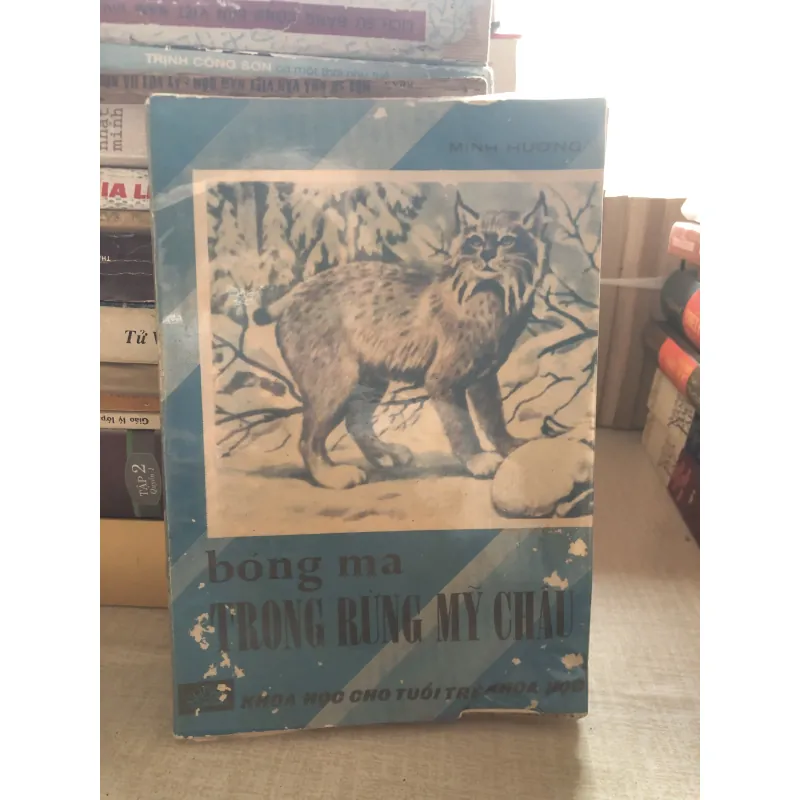 Bóng ma trong rừng Mỹ Châu 992440