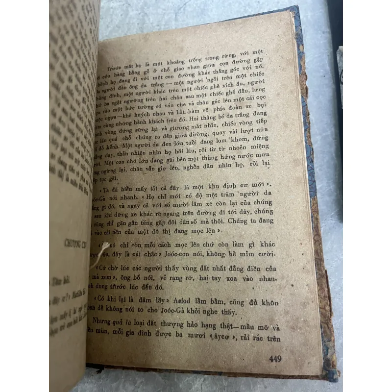 CỘI RỄ - DƯƠNG TƯỜNG 797723