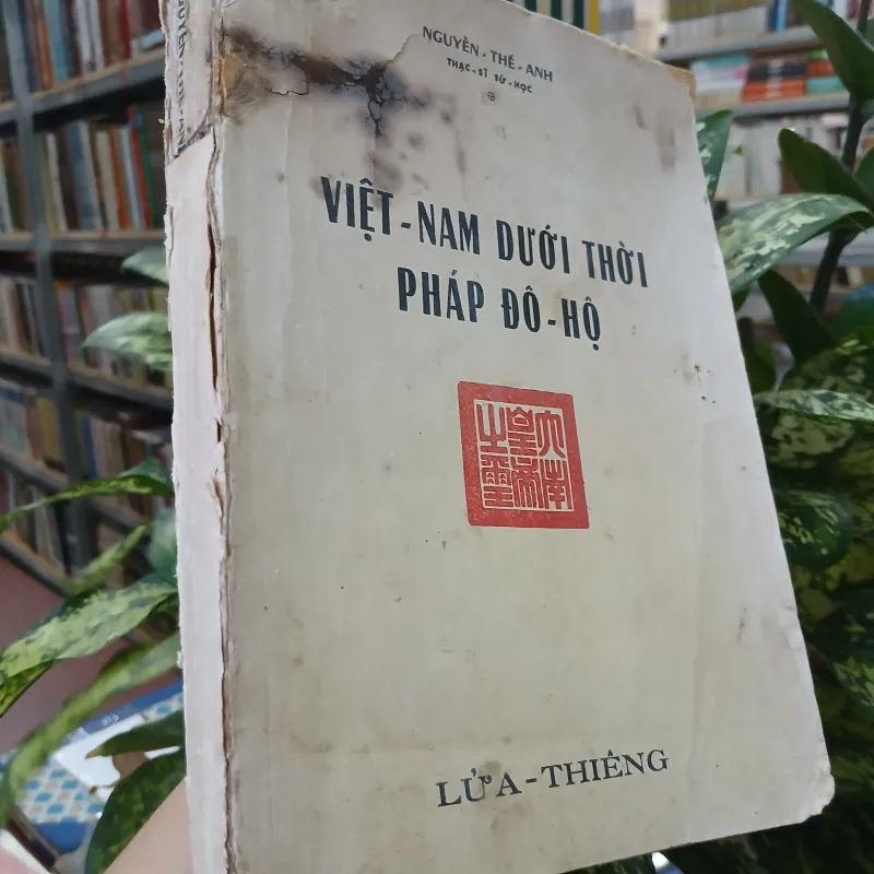 VIỆT NAM DƯỚI THỜI PHÁP ĐÔ HỘ - NGUYỄN THẾ ANH 757771