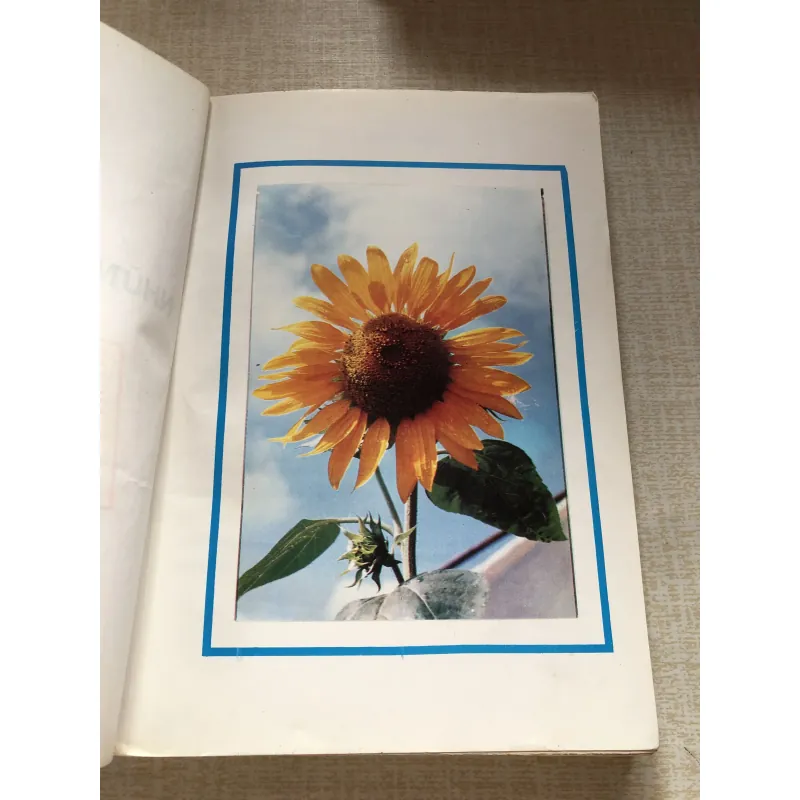 Những viên ngọc quý-Tập 1 961369