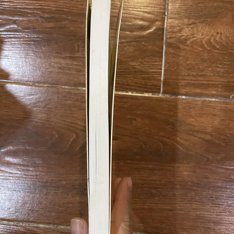 Người Thầy Hồi Ức Của Một Nhà Giáo Mỹ - Frank McCourt (6) 338722