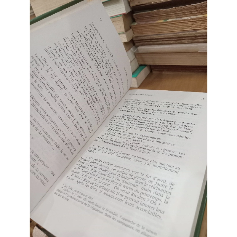 Le Rivage des Adieux - Catherine Hermary-Vieille 1019371