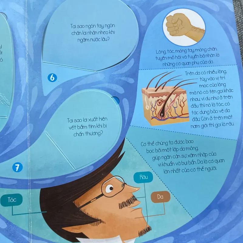 The human body cơ thể người 765876