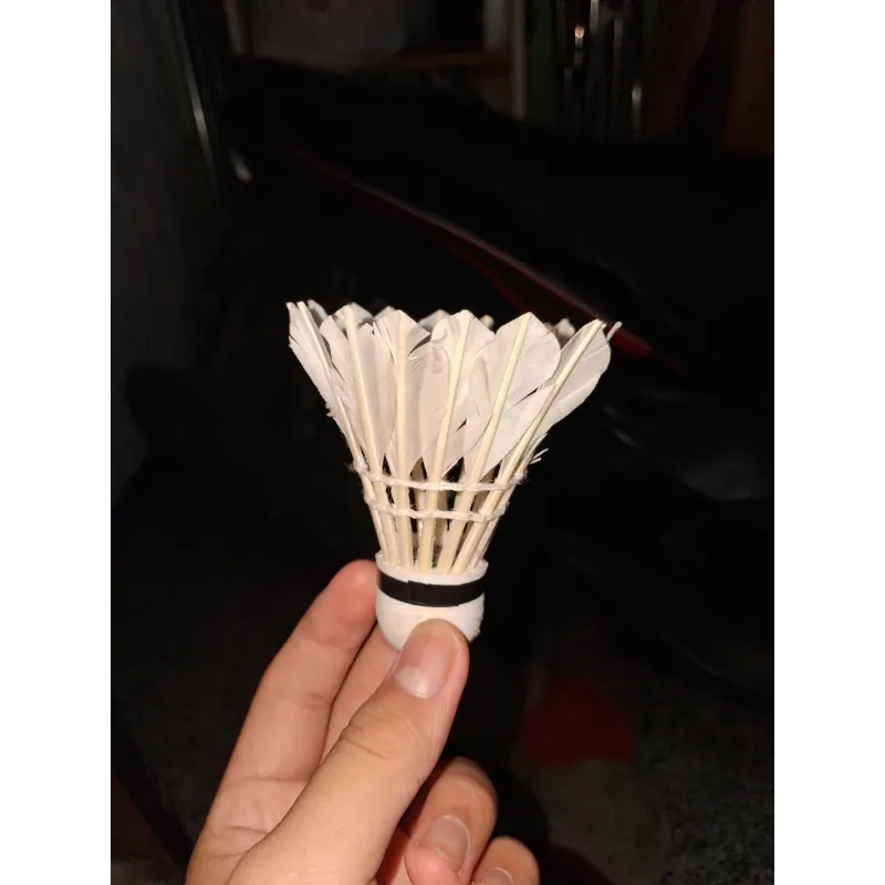 Cầu Lông Pando đã sử dụng 1005951