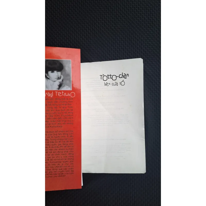 Totto-chan bên cửa sổ - Kuroyanagi Tetsuko 596427