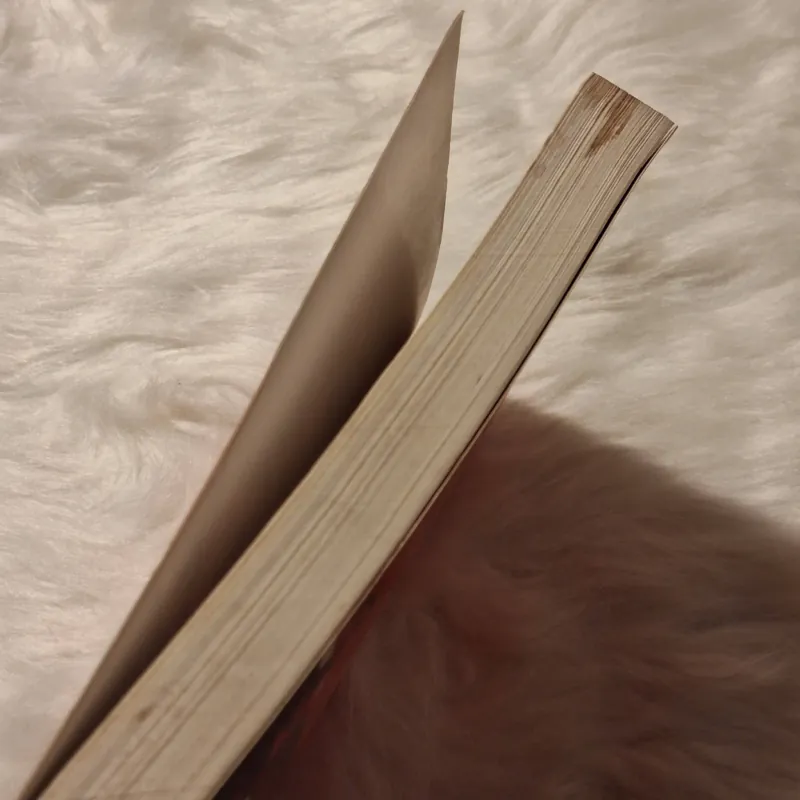 Những vấn đề Nhân học Tôn giáo 782803