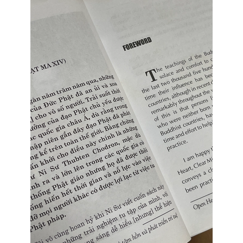 Rộng mở tâm hồn và phát triển trí tuệ - Ni sư Thubten Chodron 469603