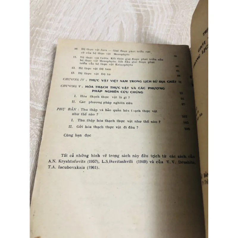 GIỚI THỰC VẬT TRONG LỊCH SỬ TRÁI ĐẤT 956903