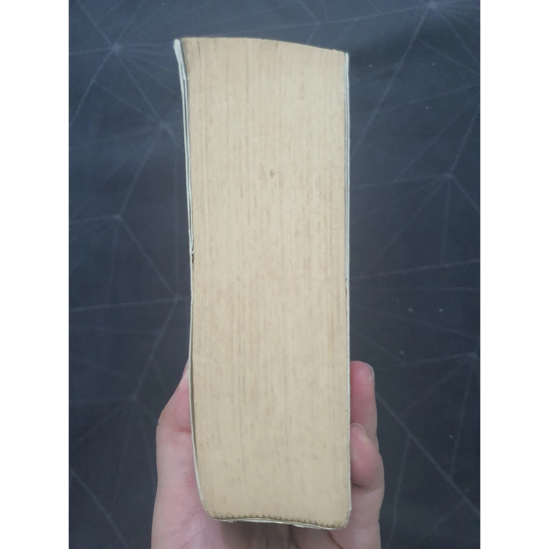 "Mê tông chi quốc tập 1: Chăm Pa ẩn sương" - Thiên Hạ Bá Xướng 530994