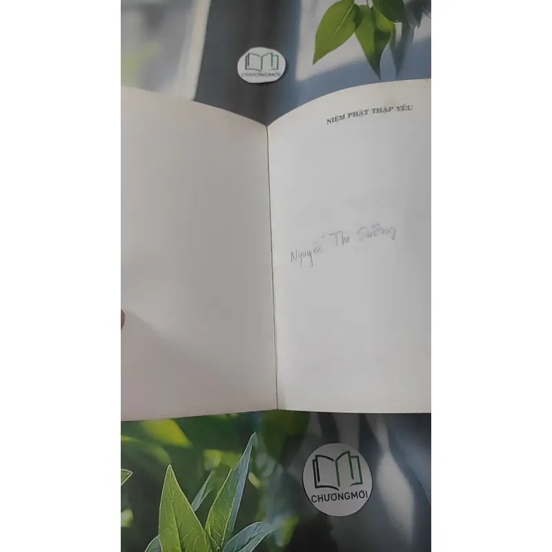 Niệm Phật Thập Yếu - HT. Thích Thiền Tâm 1018903