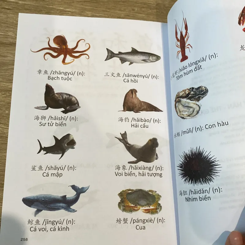 CÂU CHUYỆN CHỮ HÁN, THẾ GIỚI ĐỘNG VẬT, sách in màu minh họa đẹp 797838