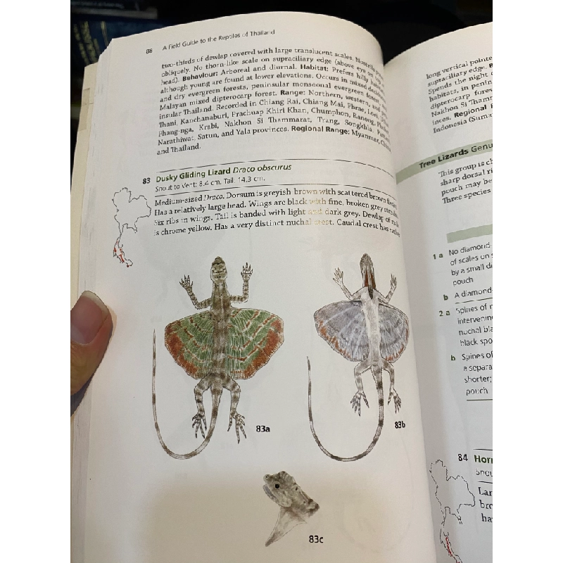 A Field Guide to the Reptiles of Thailand - Tanya Chan-ard & John W.K. Parr 448900