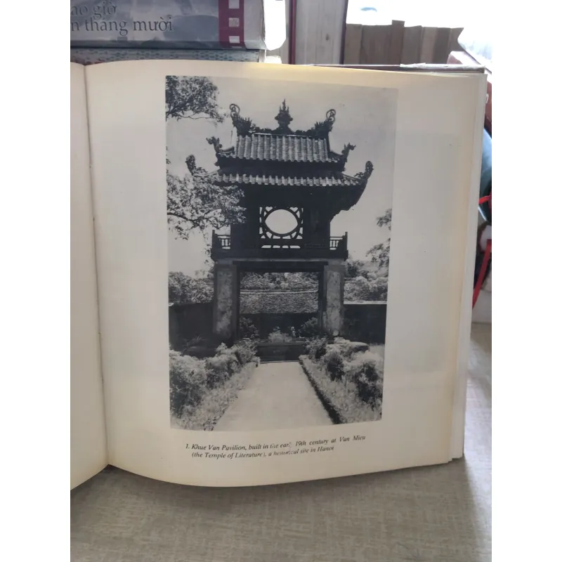 Album Việt Nam 992458