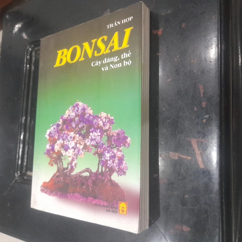 BONSAI - Cây dáng, thế và Non bộ 541969