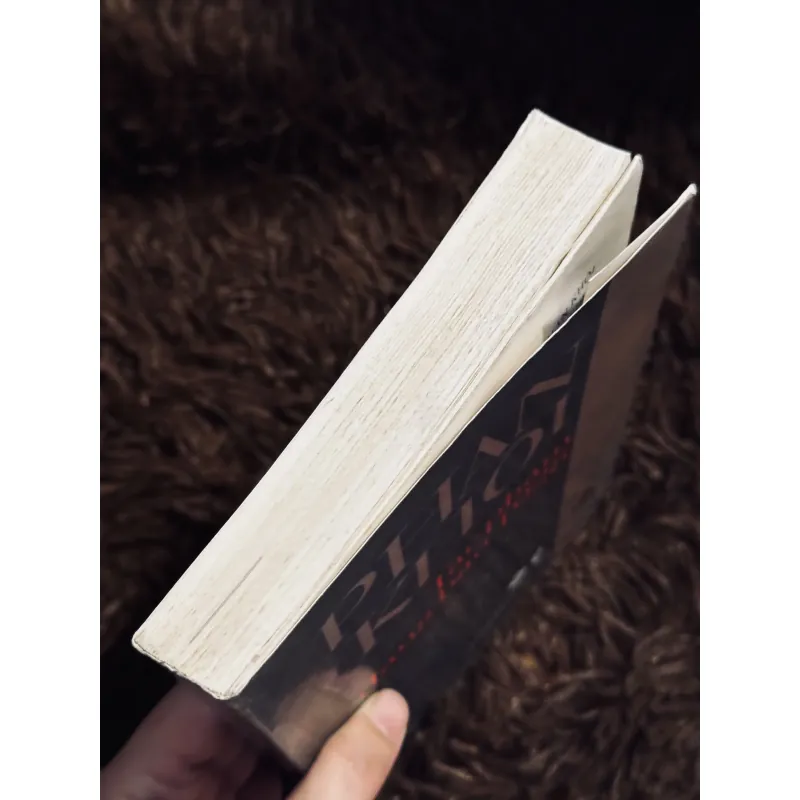 Phan Khôi tác phẩm đăng báo 1928 778725