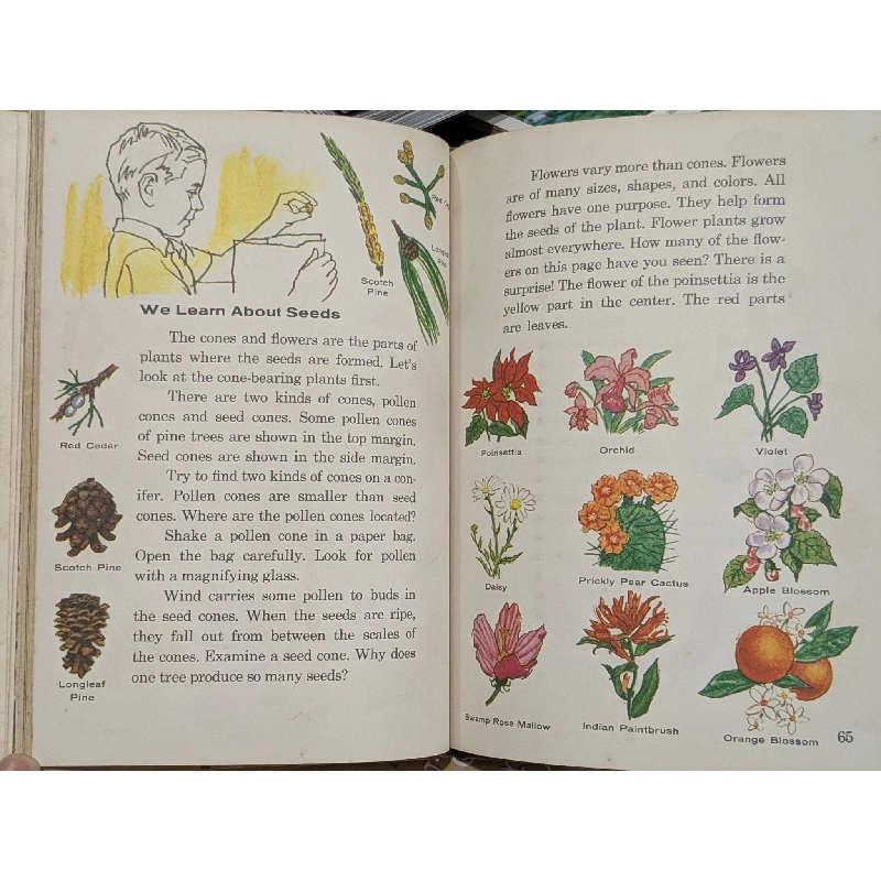 Science and Life 1001921