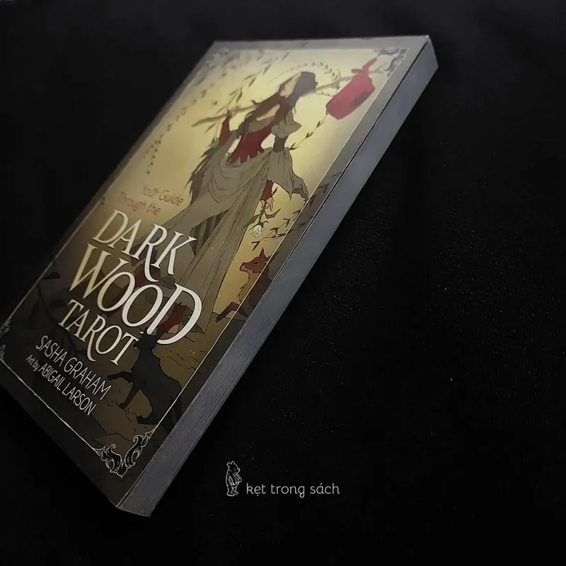 [Sách Cũ Ngoại Văn] Dark Wood Tarot - Sasha Graham 564144