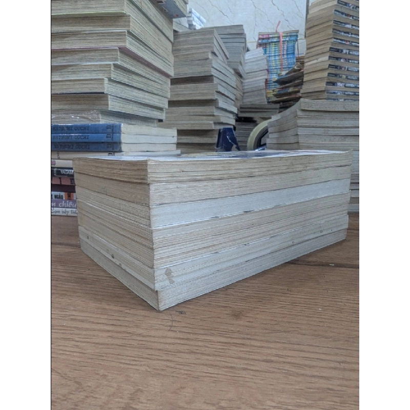 TRUYỆN TRANH NHẬT KÝ MIDORI 320603