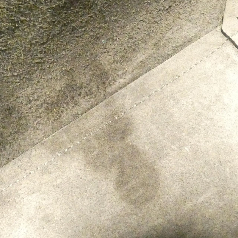 Celine Nano Belt 189003ZVA Túi - Hàng hiệu Chính hãng 805208