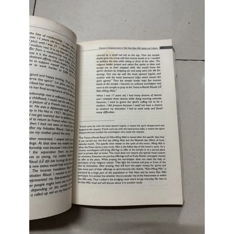 Đạo mẫu Việt Nam 699351