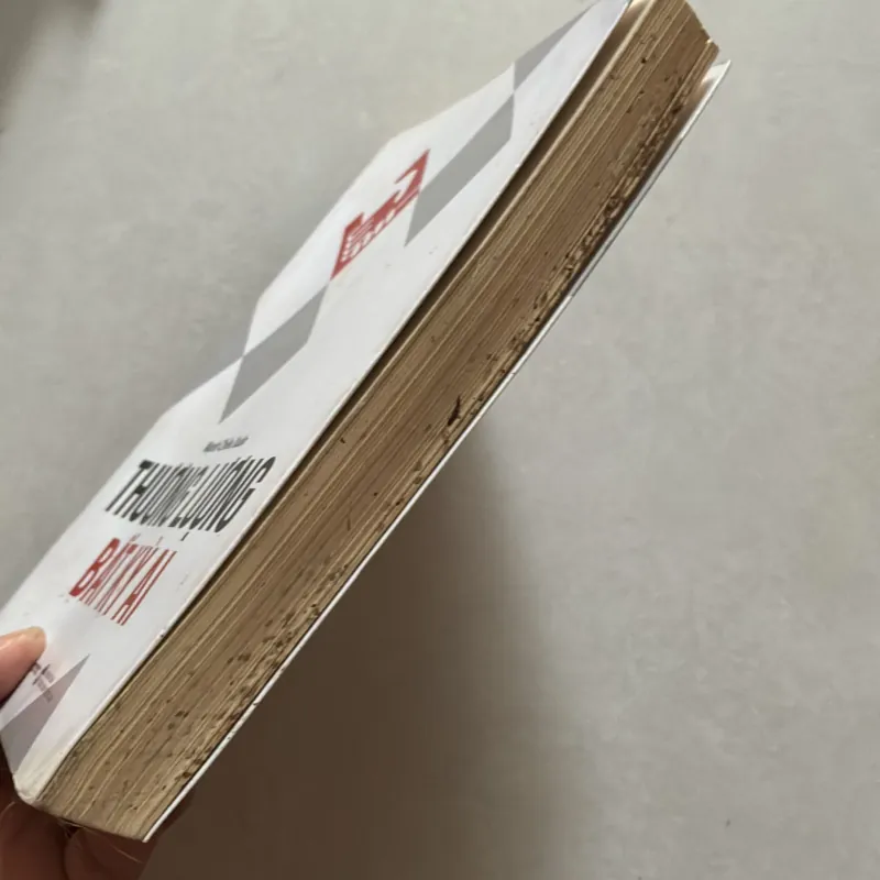 Thương lượng bất kỳ ai - Mạnh Chiêu Xuân 797871