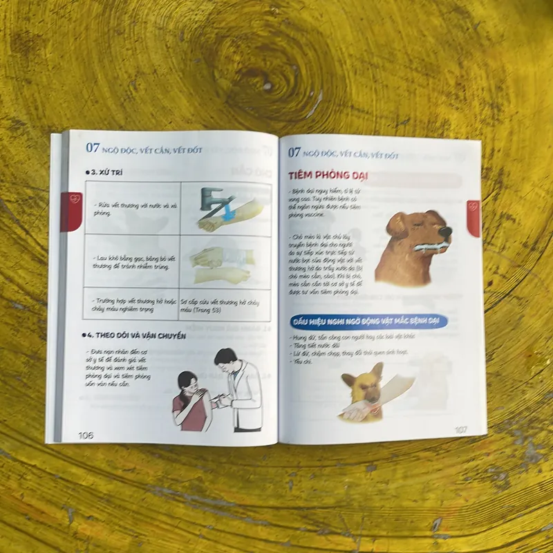 SƠ CỨU 360(2)- bác sĩ ĐINH CÔNG PHO 674278