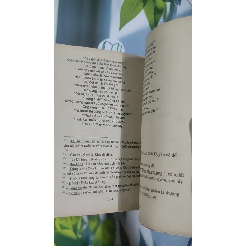 Truyện Kiều - Việt Chương chú giải - Nguyễn Du 798520