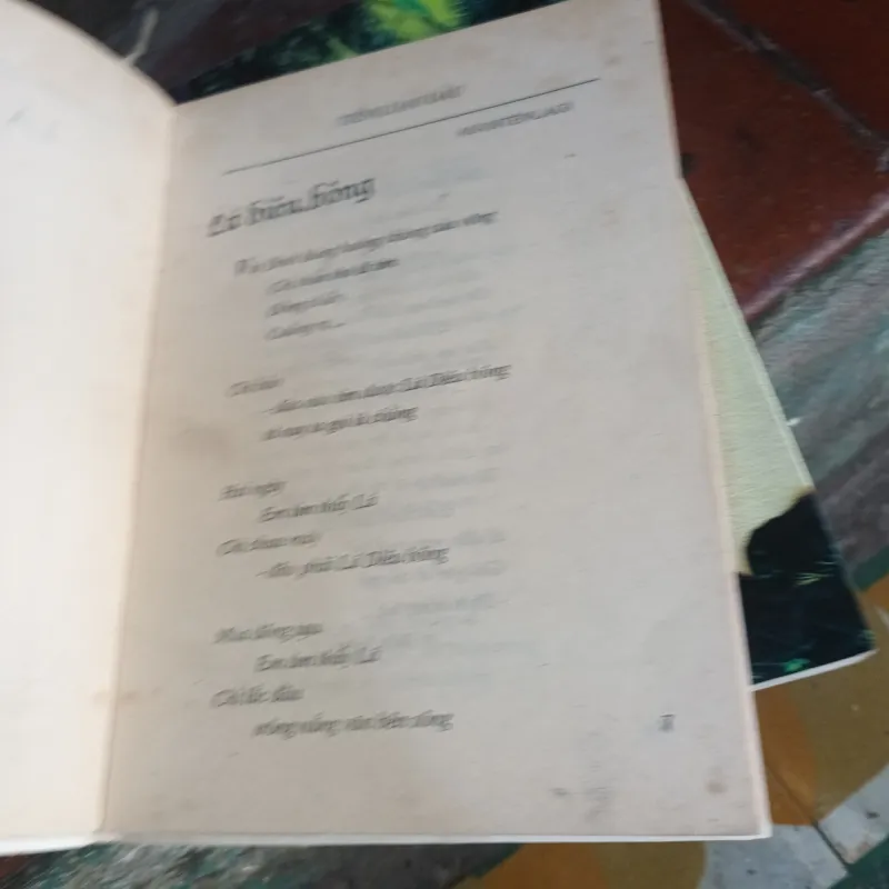 Thơ Lá Diêu Bông - Hoàng Cầm 796617