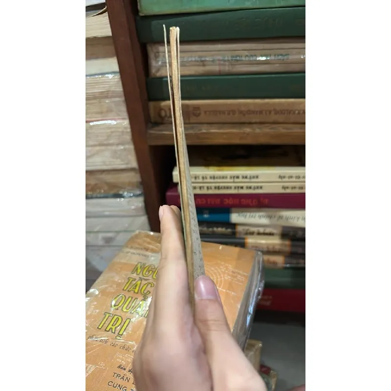 Hai chiếc nhẫn thần - Lương Nhân 690065