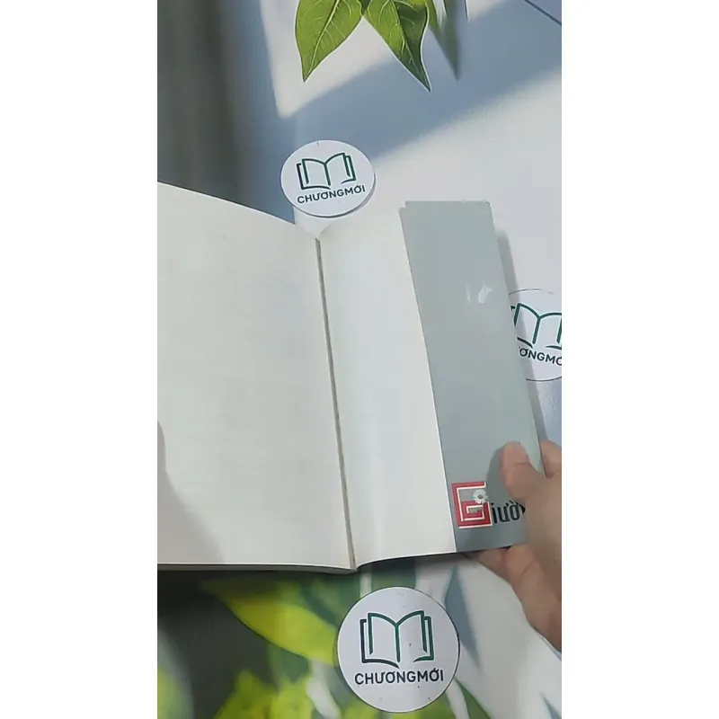 Giường - Phan An 694986