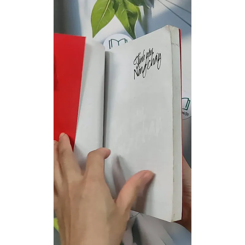 Tình yêu nồng cháy - Sái Cần Cần 688658